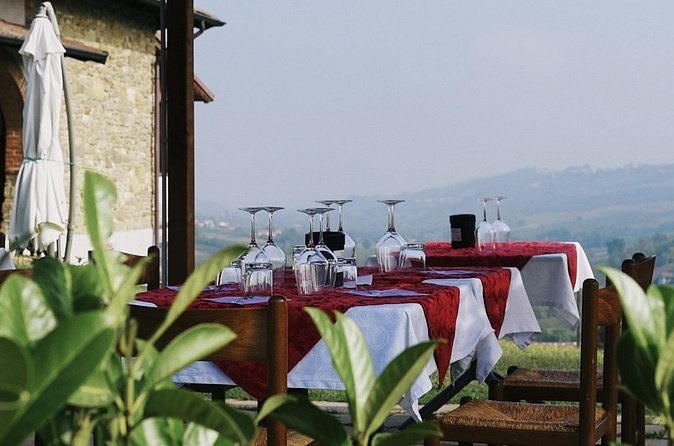 Visit winery and vineyards, tasting 4 wines with 3 matching dishes - Timing, group size, and planning your day