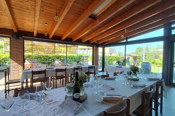Visit winery and vineyards, tasting 4 wines with 3 matching dishes - Is this winery visit worth booking?