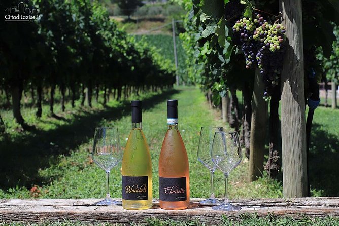 Wine and Food Tasting in the Vineyards in Lazise - What you actually do during the two hours