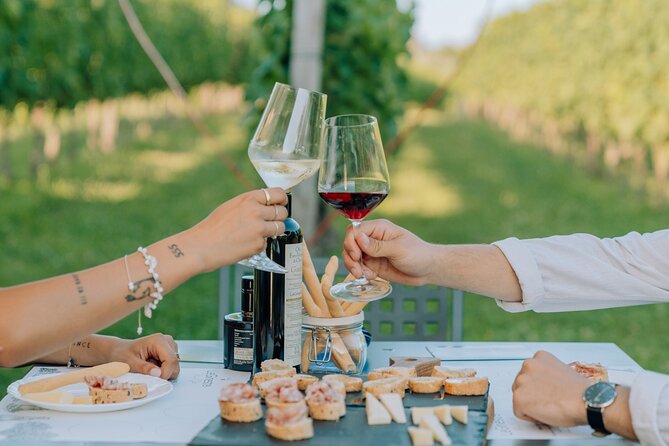 Wine and Food Tasting in the Vineyards in Lazise - Who will enjoy this most?