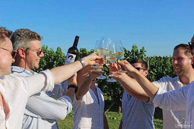 Wine and Food Tasting in the Vineyards in Lazise - Six or seven wines, from Garganega to deep red