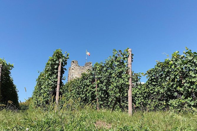 Wine and Food tasting PRIVATE Guided Tour - Why Valtellina makes this a better wine day than a lakeside tasting