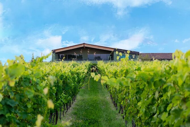 Wine Tour and Tasting of Lugana Wines in Desenzano - Cold cuts, cheeses, and the tasting table