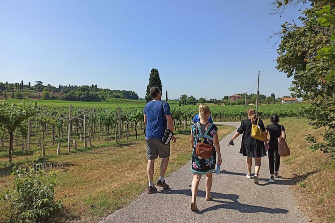 Winery Tour and Tasting of Garda Wines in Lazise - Walking the vineyards at 3 p.m.