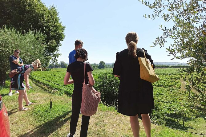 Winery Tour and Tasting of Garda Wines in Lazise - Is $50.79 a fair price?