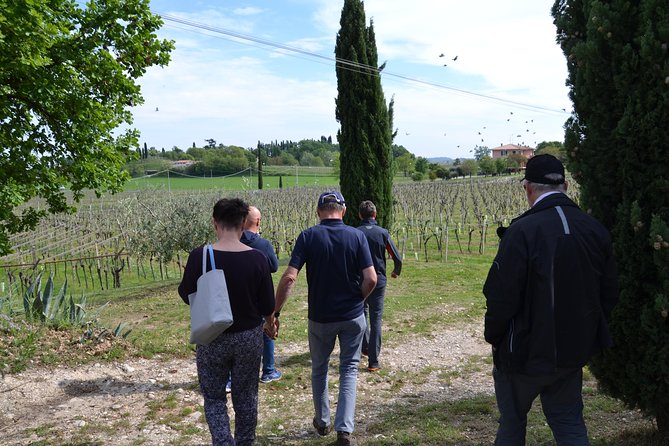 Winery Tour and Tasting of Garda Wines in Lazise - Group size, languages, and comfort