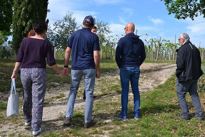 Winery Tour and Tasting of Garda Wines in Lazise - Six to eight Garda wines at the tasting table