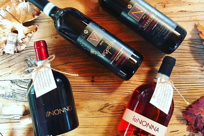 Winery Visit and Tasting of 2 D.O.C.Wines Fontechiara - The owner’s personal approach